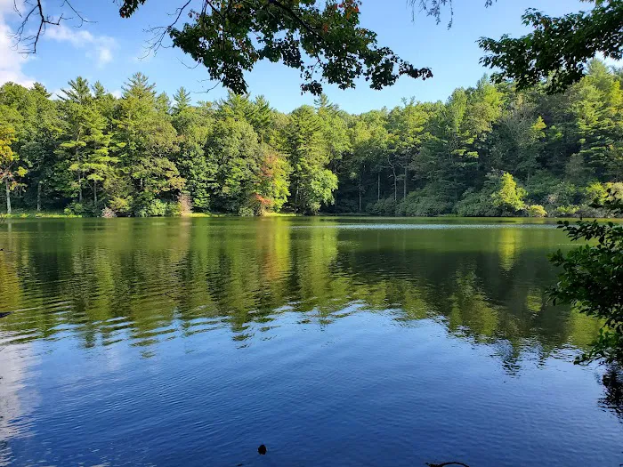 Lake Conasauga Campground Picture 4