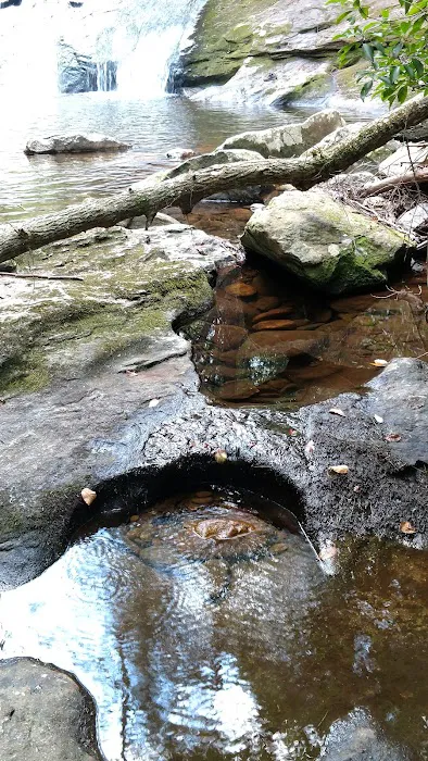 Lake Conasauga Campground Picture 7