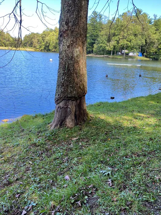 Lake Conasauga Campground Picture 5