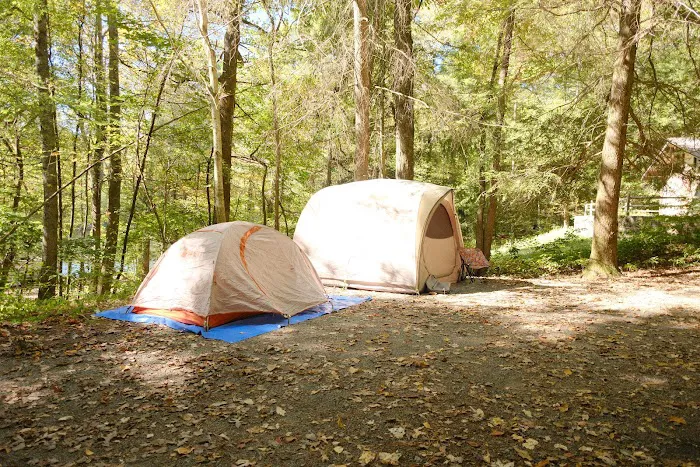 Lake Conasauga Campground Picture 9