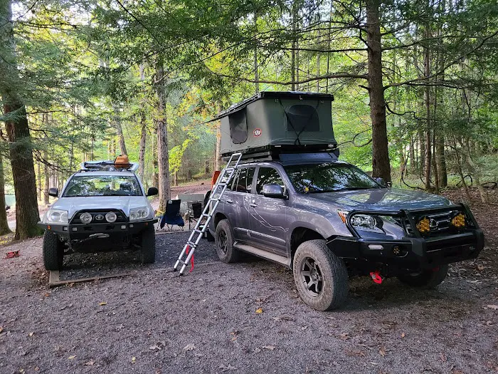 Lake Conasauga Campground Picture 6