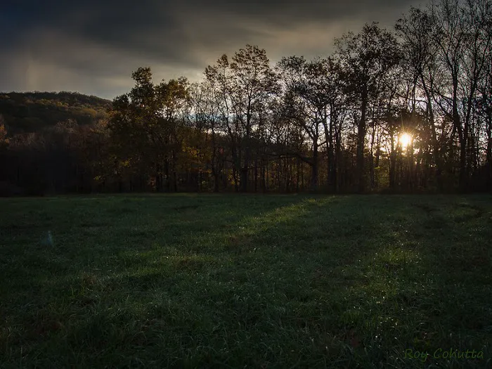Public Camping Field Picture 1
