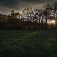 Public Camping Field ico