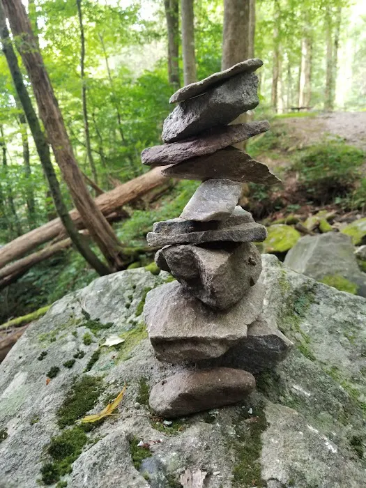 Public Camping Field Picture 4