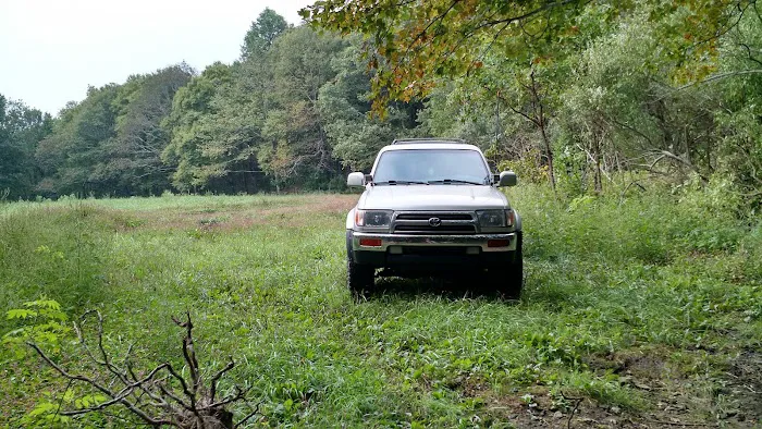 Public Camping Field Picture 7