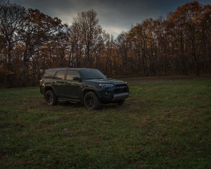 Public Camping Field Picture 3