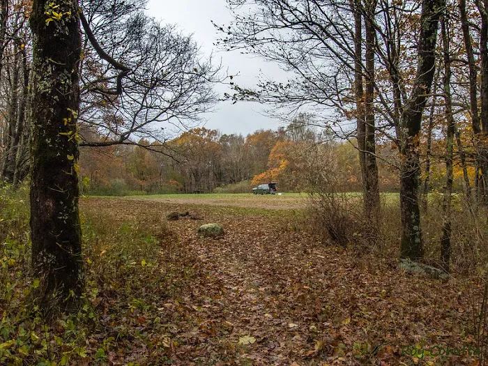 Public Camping Field Picture 5