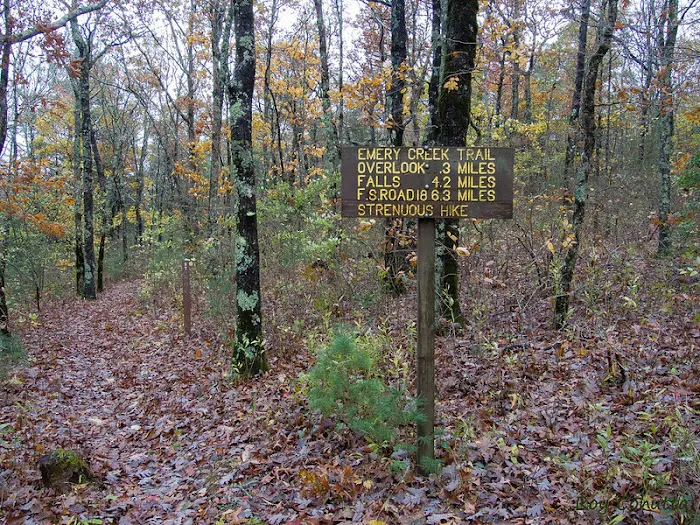 Public Camping Field Picture 8