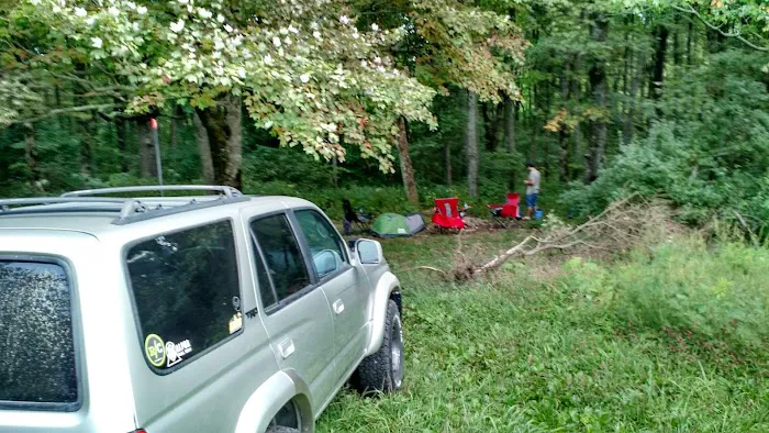 Public Camping Field Picture 6