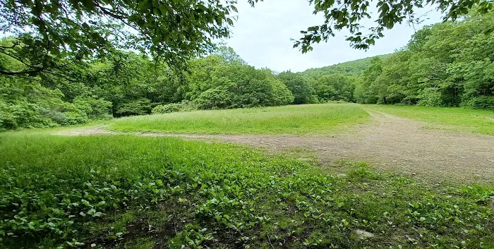 Ball Field Dispersed Camping Area (recgovnpsdata) Picture 3