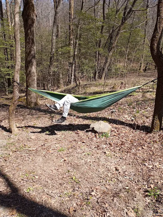 Ball Field Dispersed Camping Area (recgovnpsdata) Picture 8