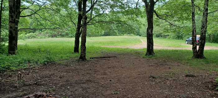 Ball Field Dispersed Camping Area (recgovnpsdata) Picture 2