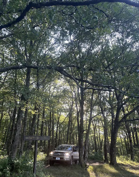 Ball Field Dispersed Camping Area (recgovnpsdata) Picture 7