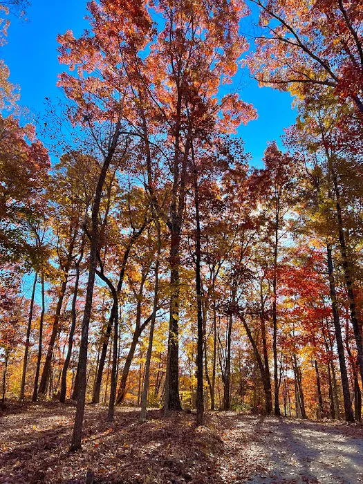 Fall Creek Falls Stables Campground Picture 10