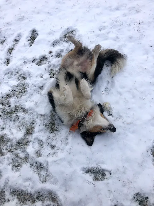 Hammock'Sway Picture 4