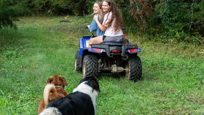 Hammock'Sway Picture 8