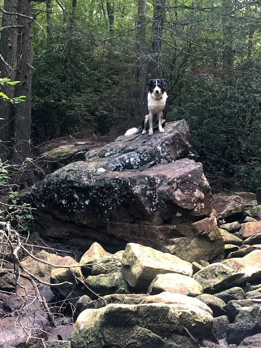 Hammock'Sway Picture 9