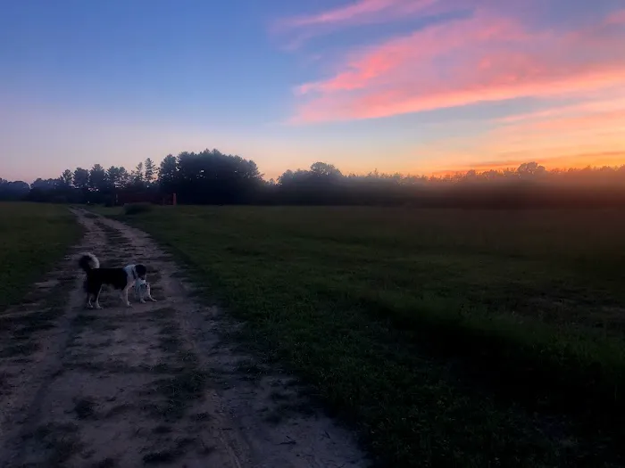 Hammock'Sway Picture 7