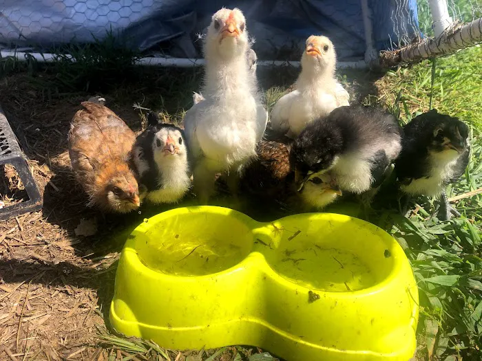 Hammock'Sway Picture 5