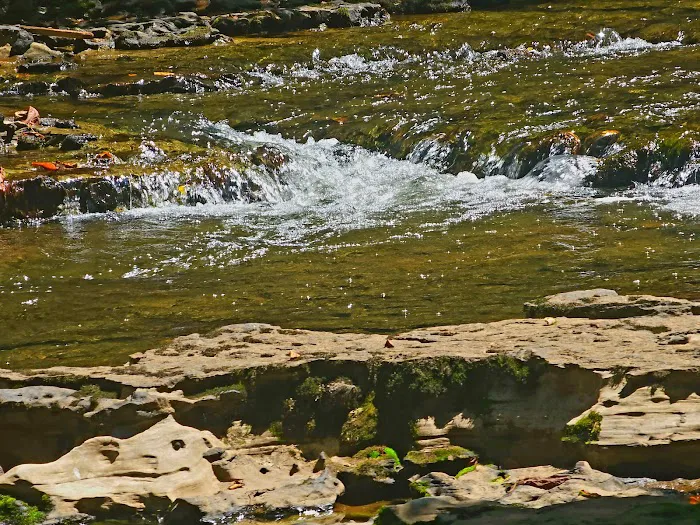 Collins West Campground Picture 6