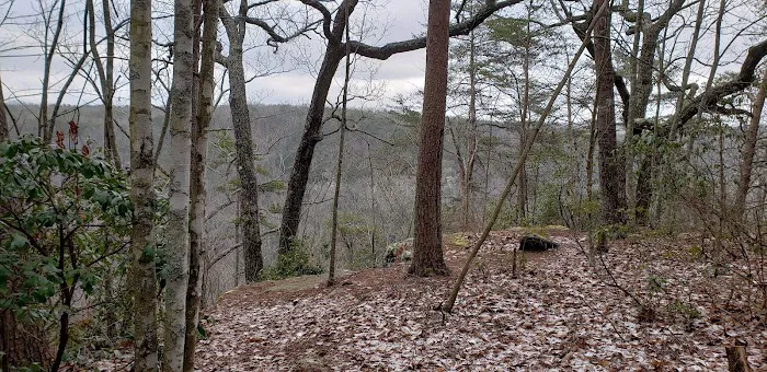 Collins West Campground Picture 2