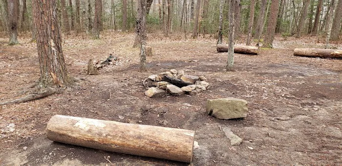 Collins West Campground Picture 1