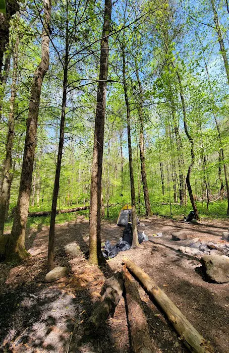 Sawmill Campsite Picture 1