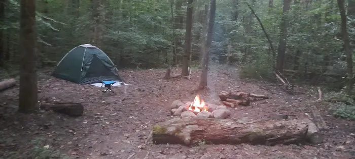 Sawmill Campsite Picture 4