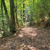 Camp Chet (Reservations required) ico
