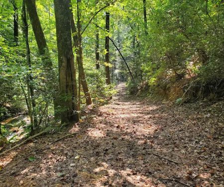 Camp Chet (Reservations required)