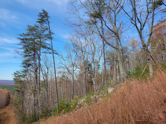 Camp Chet (Reservations required) Picture 4