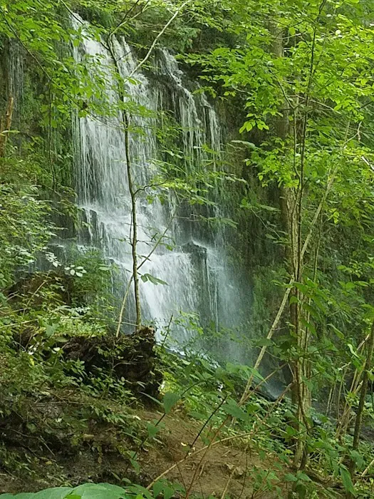 Rock Island Tent Camping Sites Picture 2