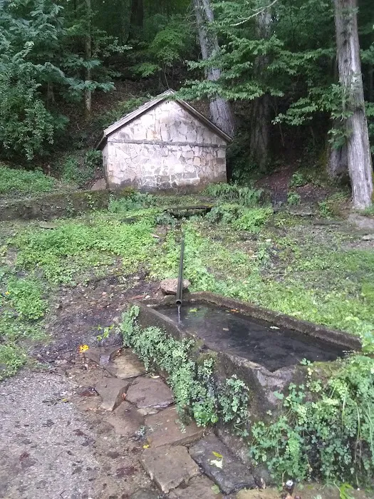 Rock Island Tent Camping Sites Picture 10