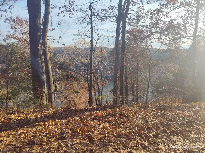 White County Access -Site 20 Picture 7