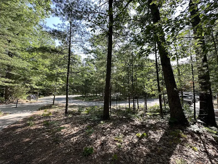 Platte River Campground Picture 3