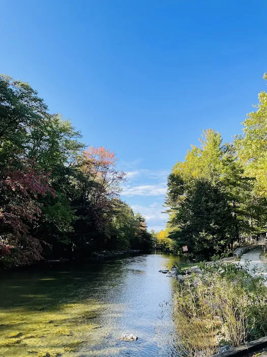 Platte River Campground Picture 9