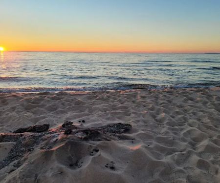 White Pines Backcountry Campground