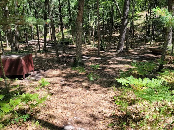 White Pines Backcountry Campground Picture 9