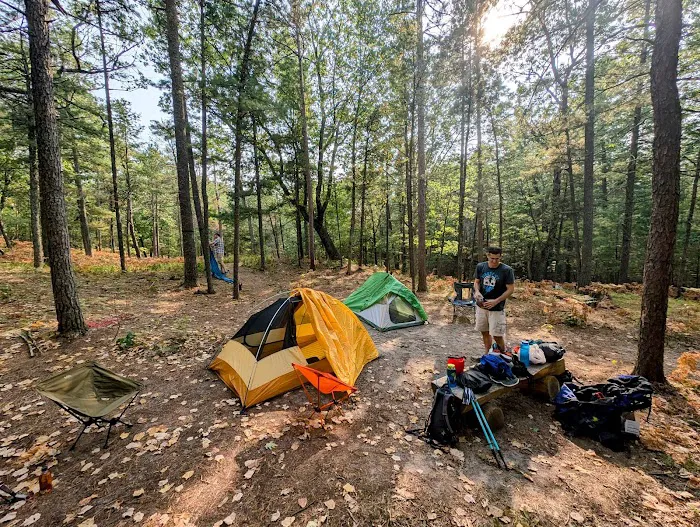 White Pines Backcountry Campground Picture 6