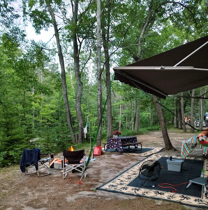 Twin Bears Wooded Campground Picture 7