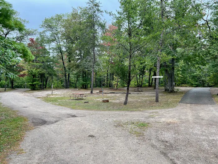 Twin Bears Wooded Campground Picture 9