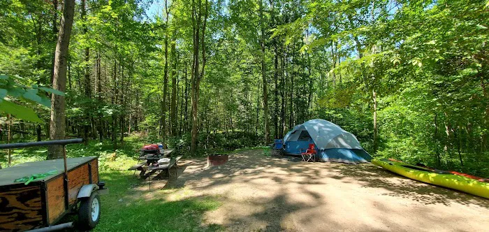 Maple Bay State Forest Campground Picture 1