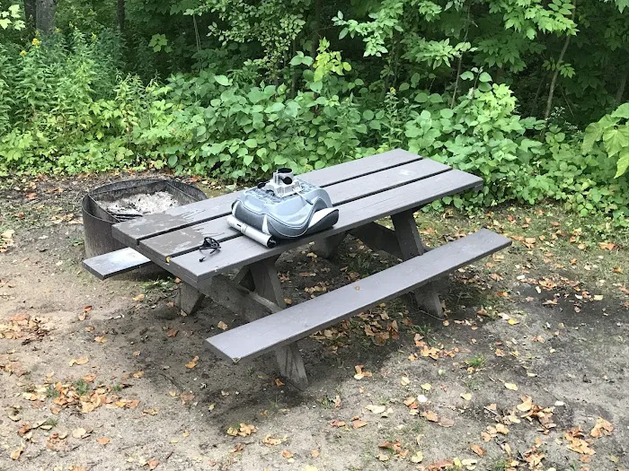 Maple Bay State Forest Campground Picture 6