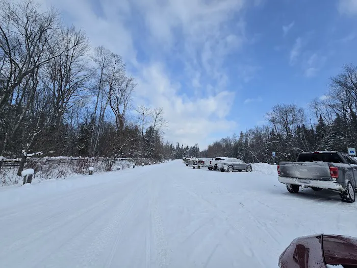 Maple Bay State Forest Campground Picture 7
