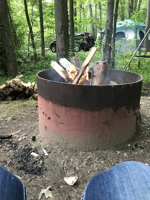 Maple Bay State Forest Campground Picture 4