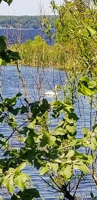 Pigeon Bay Campground Picture 1