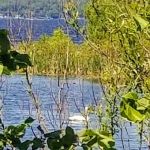 Pigeon Bay Campground