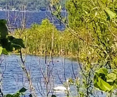 Pigeon Bay Campground