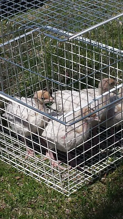 Pigeon Bay Campground Picture 2