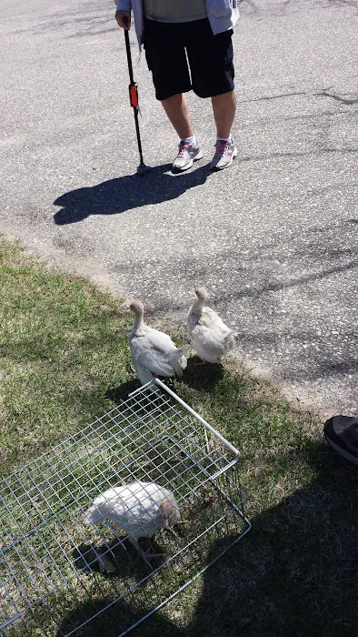 Pigeon Bay Campground Picture 6